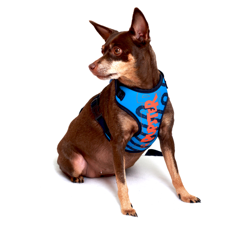 PEITORAL LANCASTER AZUL PET.jpg