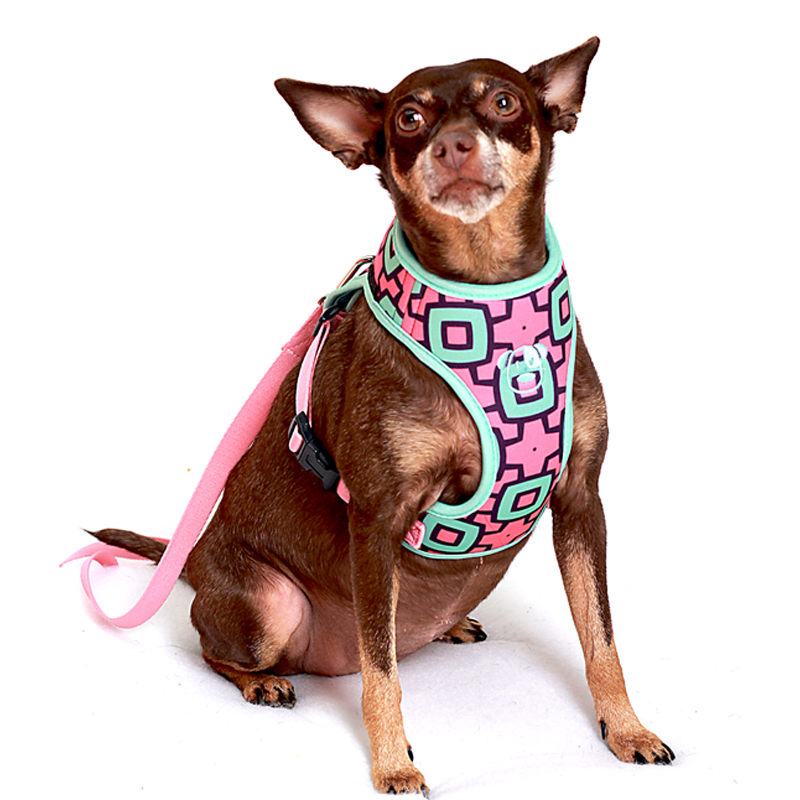 PEITORAL AIR OREGON PET.jpg