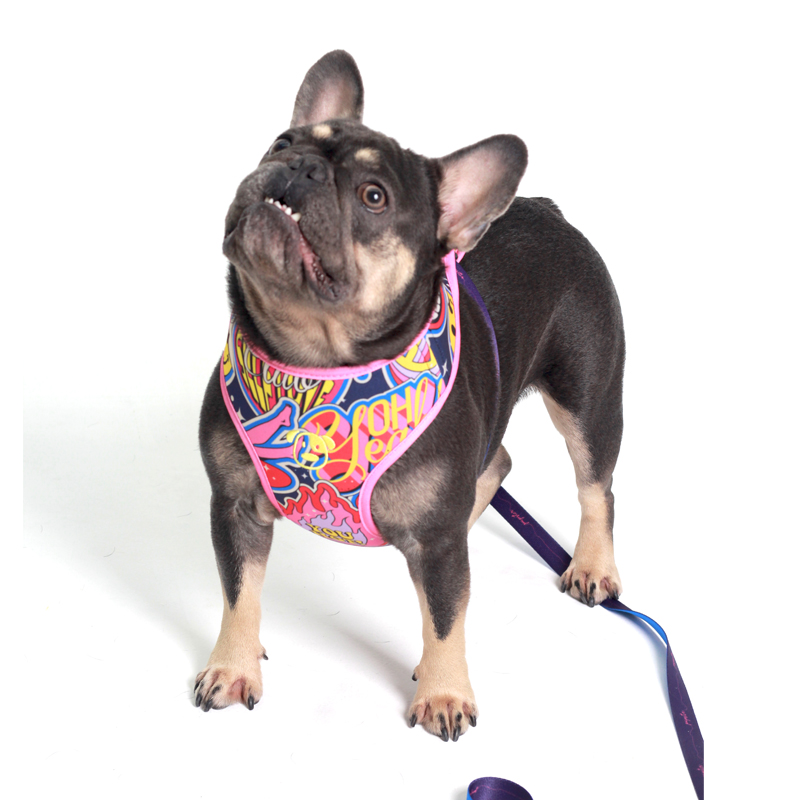 PEITORAL AIR OXFORD PET.jpg