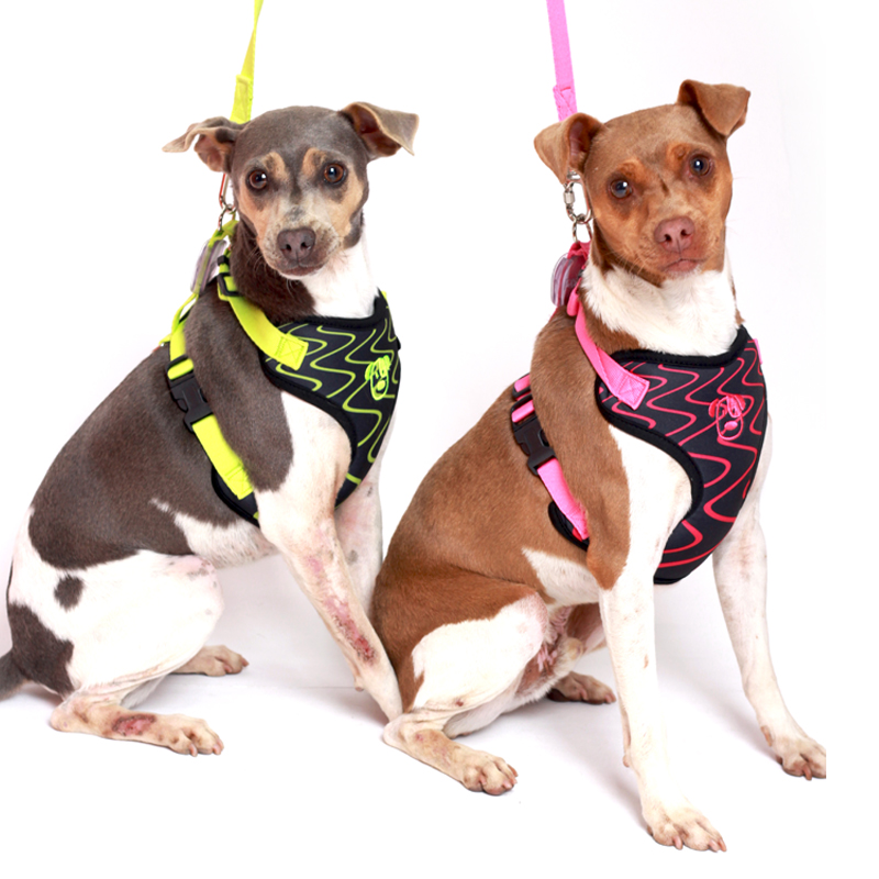 PEITORAL HOUSTON PET.jpg