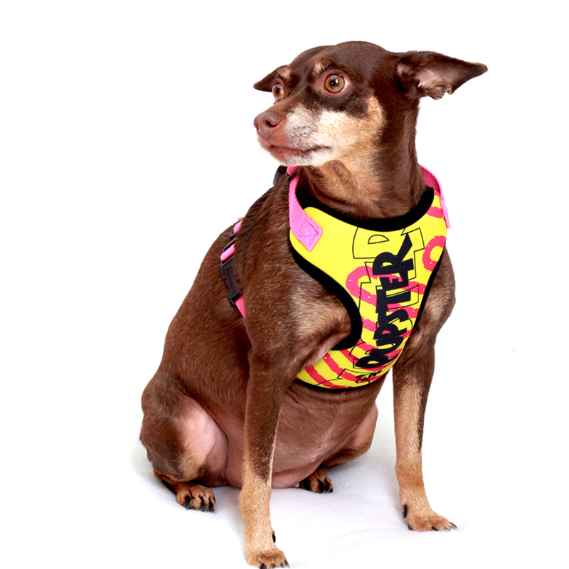 PEITORAL LANCASTER AMARELO PET.jpg