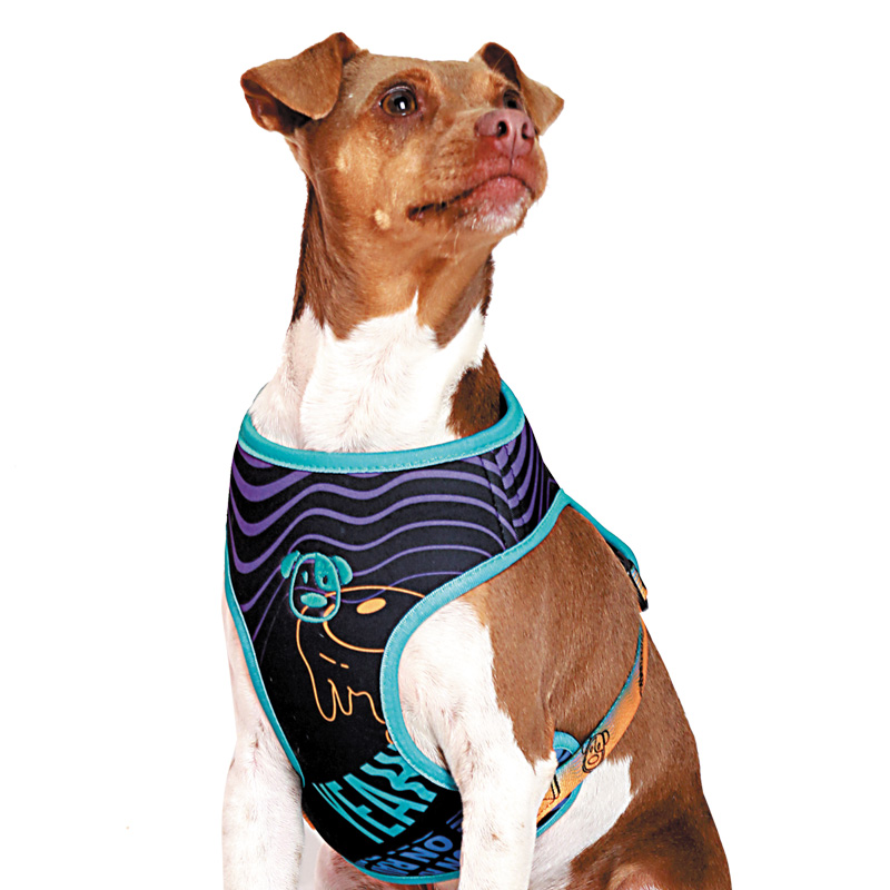 PEITORAL AIR MAINE 2.jpg