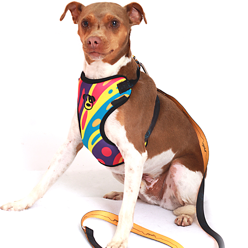 PEITORAL WOODSTOCK  PET.jpg