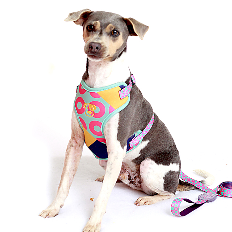 PEITORAL CANDY PET.jpg