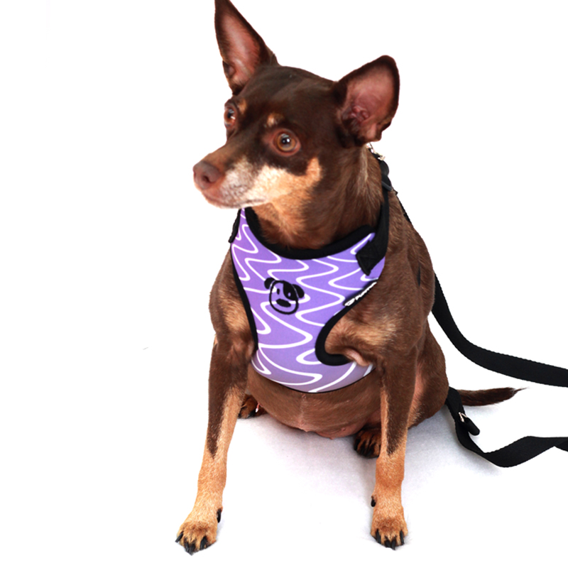 PEITORAL HOUSTON ROXO PET.jpg