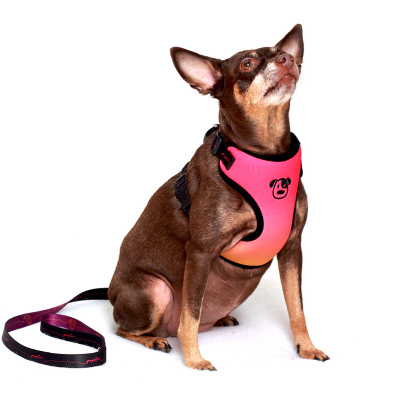 PEITORAL SUNSET ROSA PET.jpg