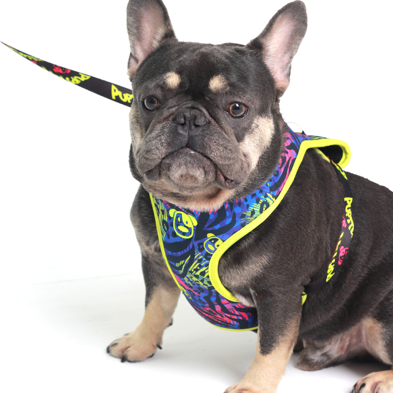 PEITORAL AIR SPLASH PET 2.jpg