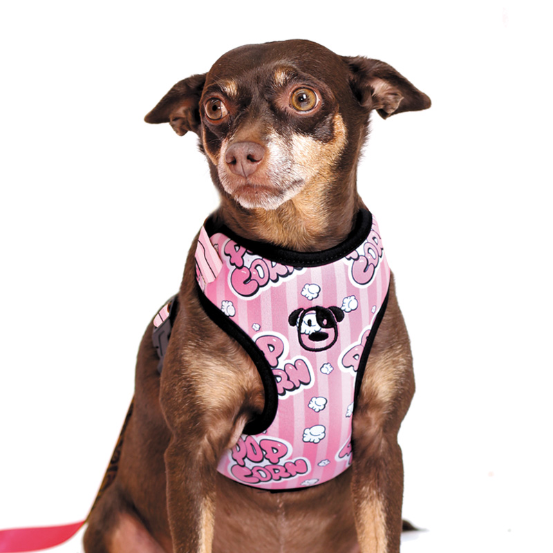 PEITORAL POPCORN 2.jpg