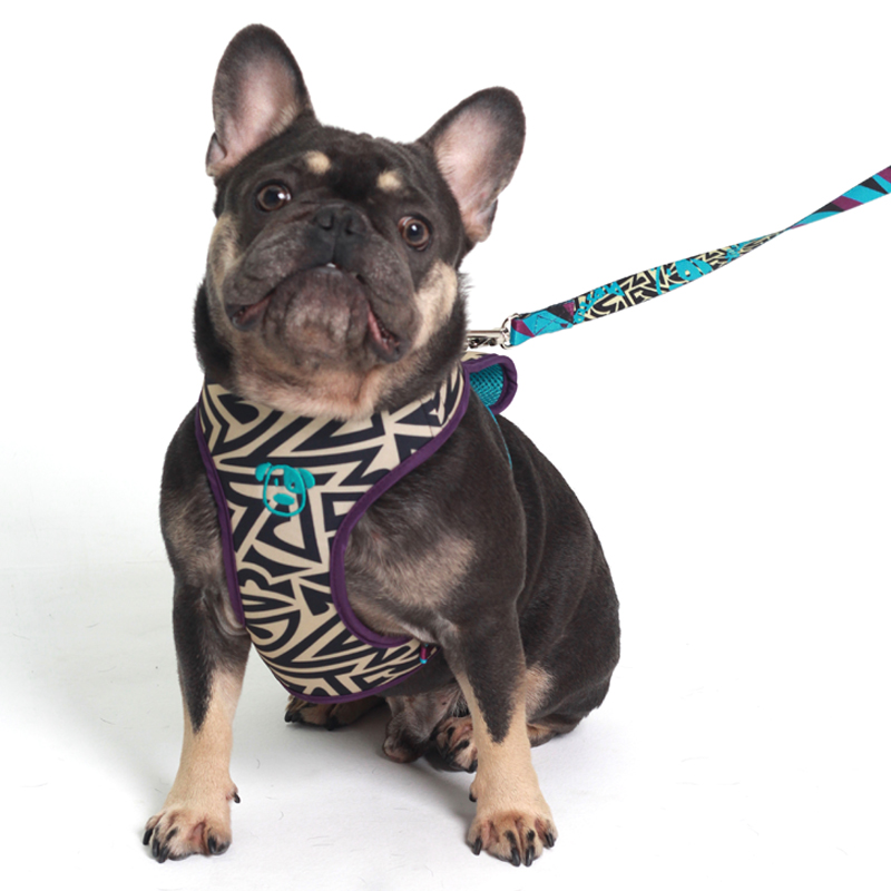 PEITORAL AIR MAZE PET.jpg