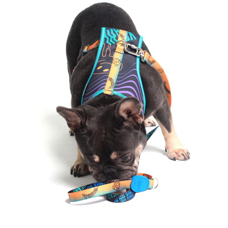 PEITORAL AIR MAINE PET 1.jpg