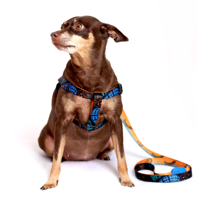 PEITORAL SLIM MAINE PET 1.jpg