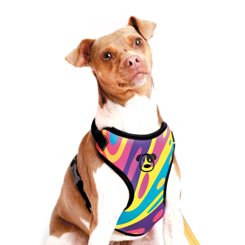 PEITORAL WOODSTOCK 2.jpg