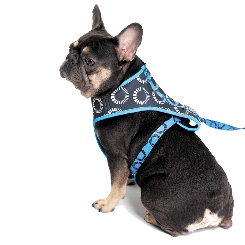 PEITORAL AIR AVALON PRETO 1.jpg