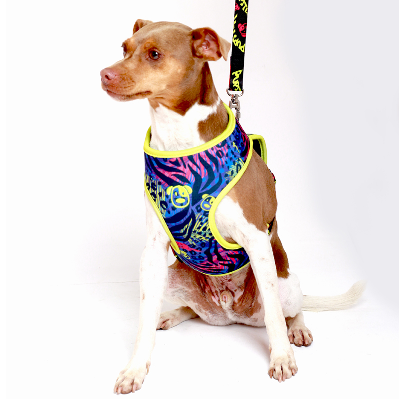 PEITORAL AIR SPLASH PET 3.jpg